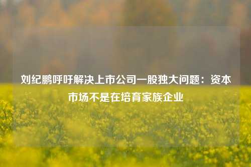 刘纪鹏呼吁解决上市公司一股独大问题：资本市场不是在培育家族企业-第1张图片-体育新闻