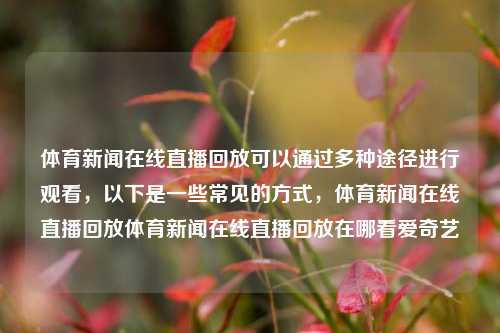 体育新闻在线直播回放可以通过多种途径进行观看，以下是一些常见的方式，体育新闻在线直播回放体育新闻在线直播回放在哪看爱奇艺-第1张图片-体育新闻