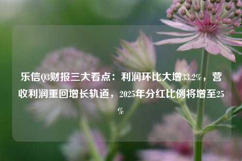 乐信Q3财报三大看点：利润环比大增33.2%，营收利润重回增长轨道，2025年分红比例将增至25%-第1张图片-体育新闻