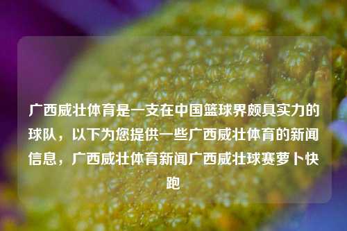 广西威壮体育是一支在中国篮球界颇具实力的球队，以下为您提供一些广西威壮体育的新闻信息，广西威壮体育新闻广西威壮球赛萝卜快跑-第1张图片-体育新闻