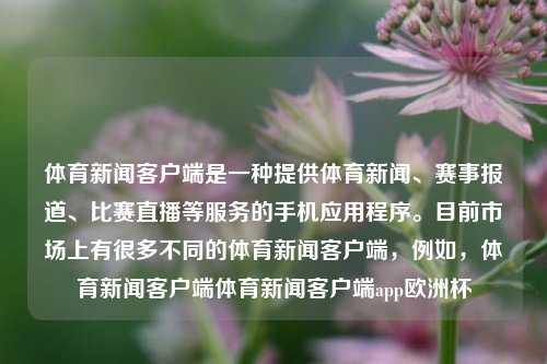 体育新闻客户端是一种提供体育新闻、赛事报道、比赛直播等服务的手机应用程序。目前市场上有很多不同的体育新闻客户端，例如，体育新闻客户端体育新闻客户端app欧洲杯-第1张图片-体育新闻