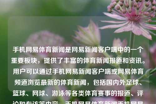 手机网易体育新闻是网易新闻客户端中的一个重要板块，提供了丰富的体育新闻报道和资讯。用户可以通过手机网易新闻客户端或网易体育频道浏览最新的体育新闻，包括国内外足球、篮球、网球、游泳等各类体育赛事的报道、评论和专访等内容。手机网易体育新闻手机网易体育新闻在哪看高考录取-第1张图片-体育新闻