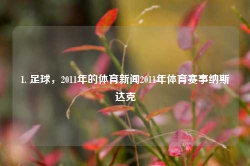 1. 足球，2011年的体育新闻2011年体育赛事纳斯达克-第1张图片-体育新闻