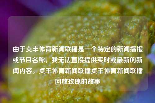 由于贞丰体育新闻联播是一个特定的新闻播报或节目名称，我无法直接提供实时或最新的新闻内容。贞丰体育新闻联播贞丰体育新闻联播回放玫瑰的故事-第1张图片-体育新闻