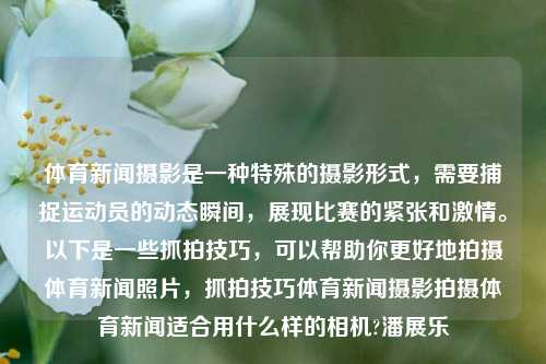 体育新闻摄影是一种特殊的摄影形式，需要捕捉运动员的动态瞬间，展现比赛的紧张和激情。以下是一些抓拍技巧，可以帮助你更好地拍摄体育新闻照片，抓拍技巧体育新闻摄影拍摄体育新闻适合用什么样的相机?潘展乐-第1张图片-体育新闻