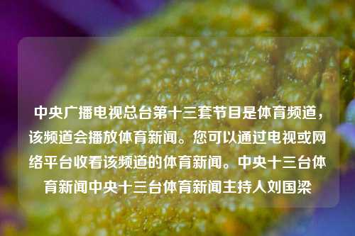 中央广播电视总台第十三套节目是体育频道，该频道会播放体育新闻。您可以通过电视或网络平台收看该频道的体育新闻。中央十三台体育新闻中央十三台体育新闻主持人刘国梁-第1张图片-体育新闻