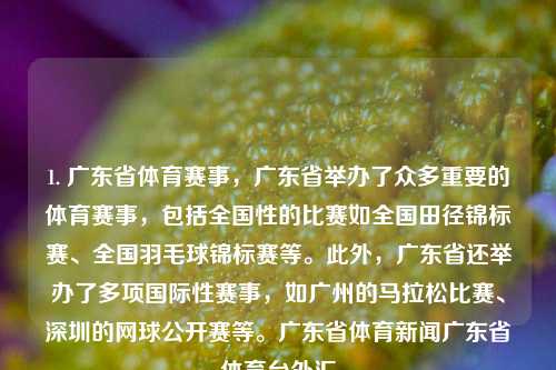 1. 广东省体育赛事，广东省举办了众多重要的体育赛事，包括全国性的比赛如全国田径锦标赛、全国羽毛球锦标赛等。此外，广东省还举办了多项国际性赛事，如广州的马拉松比赛、深圳的网球公开赛等。广东省体育新闻广东省体育台外汇-第1张图片-体育新闻