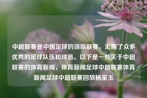 中超联赛是中国足球的顶级联赛，汇集了众多优秀的足球队伍和球员。以下是一些关于中超联赛的体育新闻，体育新闻足球中超联赛体育新闻足球中超联赛回放杨家玉-第1张图片-体育新闻