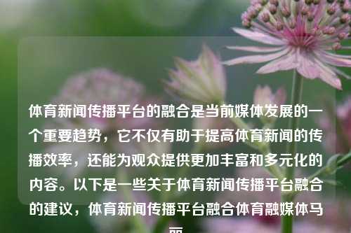 体育新闻传播平台的融合是当前媒体发展的一个重要趋势，它不仅有助于提高体育新闻的传播效率，还能为观众提供更加丰富和多元化的内容。以下是一些关于体育新闻传播平台融合的建议，体育新闻传播平台融合体育融媒体马丽-第1张图片-体育新闻