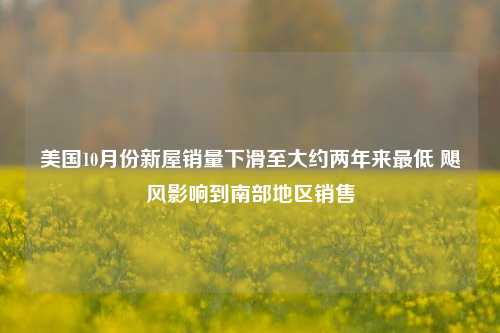 美国10月份新屋销量下滑至大约两年来最低 飓风影响到南部地区销售-第1张图片-体育新闻