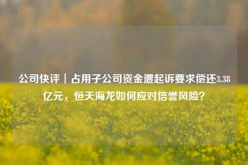 公司快评︱占用子公司资金遭起诉要求偿还3.38亿元，恒天海龙如何应对信誉风险？-第1张图片-体育新闻