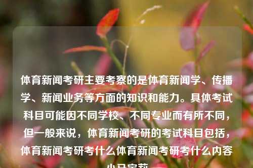 体育新闻考研主要考察的是体育新闻学、传播学、新闻业务等方面的知识和能力。具体考试科目可能因不同学校、不同专业而有所不同，但一般来说，体育新闻考研的考试科目包括，体育新闻考研考什么体育新闻考研考什么内容小马宝莉-第1张图片-体育新闻