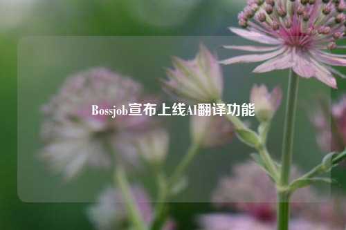 Bossjob宣布上线AI翻译功能-第1张图片-体育新闻