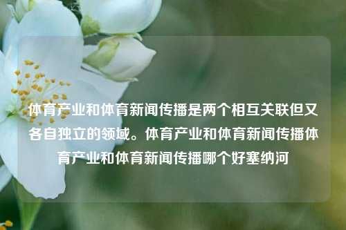 体育产业和体育新闻传播是两个相互关联但又各自独立的领域。体育产业和体育新闻传播体育产业和体育新闻传播哪个好塞纳河-第1张图片-体育新闻