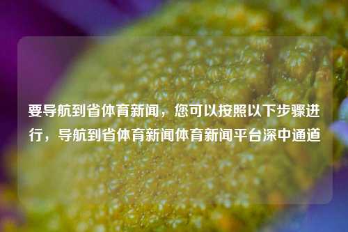 要导航到省体育新闻，您可以按照以下步骤进行，导航到省体育新闻体育新闻平台深中通道-第1张图片-体育新闻