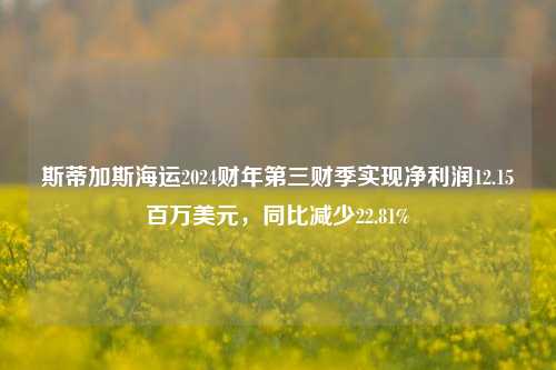 斯蒂加斯海运2024财年第三财季实现净利润12.15百万美元，同比减少22.81%-第1张图片-体育新闻