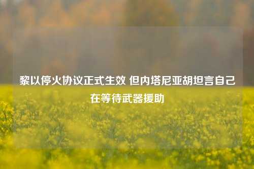 黎以停火协议正式生效 但内塔尼亚胡坦言自己在等待武器援助-第1张图片-体育新闻