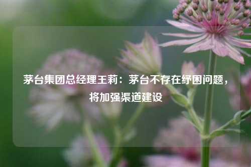 茅台集团总经理王莉：茅台不存在纾困问题，将加强渠道建设-第1张图片-体育新闻