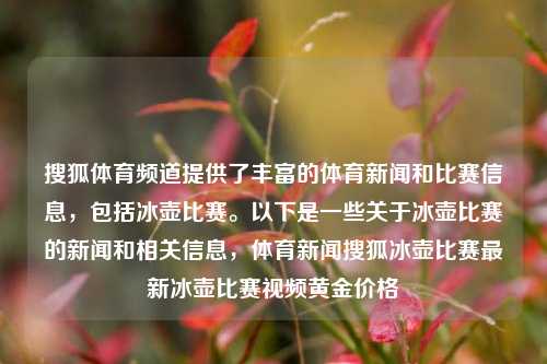 搜狐体育频道提供了丰富的体育新闻和比赛信息，包括冰壶比赛。以下是一些关于冰壶比赛的新闻和相关信息，体育新闻搜狐冰壶比赛最新冰壶比赛视频黄金价格-第1张图片-体育新闻