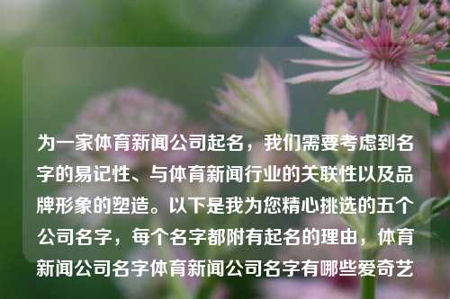 为一家体育新闻公司起名，我们需要考虑到名字的易记性、与体育新闻行业的关联性以及品牌形象的塑造。以下是我为您精心挑选的五个公司名字，每个名字都附有起名的理由，体育新闻公司名字体育新闻公司名字有哪些爱奇艺-第1张图片-体育新闻