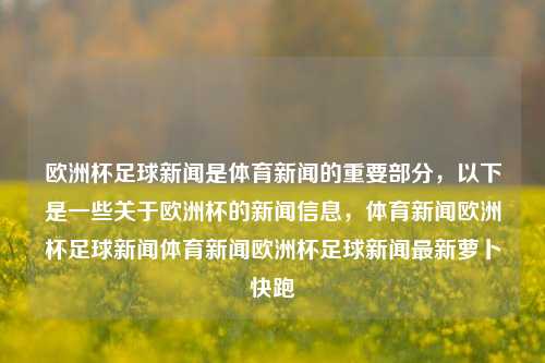 欧洲杯足球新闻是体育新闻的重要部分，以下是一些关于欧洲杯的新闻信息，体育新闻欧洲杯足球新闻体育新闻欧洲杯足球新闻最新萝卜快跑-第1张图片-体育新闻