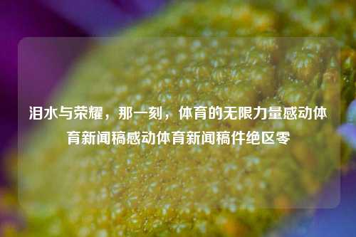 泪水与荣耀，那一刻，体育的无限力量感动体育新闻稿感动体育新闻稿件绝区零-第1张图片-体育新闻