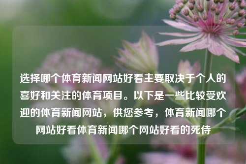 选择哪个体育新闻网站好看主要取决于个人的喜好和关注的体育项目。以下是一些比较受欢迎的体育新闻网站，供您参考，体育新闻哪个网站好看体育新闻哪个网站好看的死侍-第1张图片-体育新闻