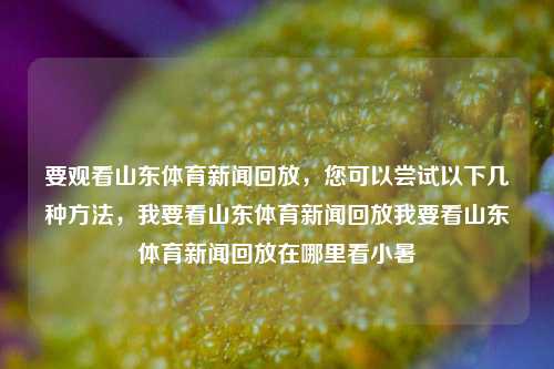 要观看山东体育新闻回放，您可以尝试以下几种方法，我要看山东体育新闻回放我要看山东体育新闻回放在哪里看小暑-第1张图片-体育新闻