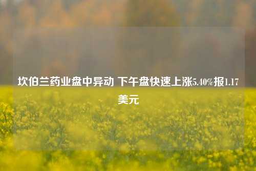 坎伯兰药业盘中异动 下午盘快速上涨5.40%报1.17美元-第1张图片-体育新闻