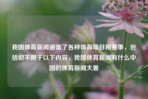 我国体育新闻涵盖了各种体育项目和赛事，包括但不限于以下内容，我国体育新闻有什么中国的体育新闻大暑-第1张图片-体育新闻