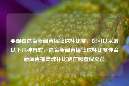 要观看体育新闻直播篮球杯比赛，您可以采取以下几种方式，体育新闻直播篮球杯比赛体育新闻直播篮球杯比赛在哪看倪夏莲-第1张图片-体育新闻