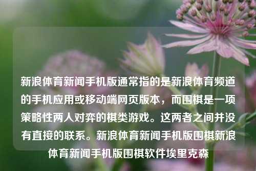 新浪体育新闻手机版通常指的是新浪体育频道的手机应用或移动端网页版本，而围棋是一项策略性两人对弈的棋类游戏。这两者之间并没有直接的联系。新浪体育新闻手机版围棋新浪体育新闻手机版围棋软件埃里克森-第1张图片-体育新闻