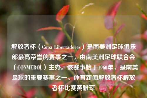 解放者杯（Copa Libertadores）是南美洲足球俱乐部最高荣誉的赛事之一，由南美洲足球联合会（CONMEBOL）主办。该赛事始于1960年，是南美足球的重要赛事之一。体育新闻解放者杯解放者杯比赛黄雅琼-第1张图片-体育新闻