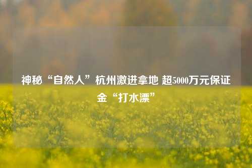 神秘“自然人”杭州激进拿地 超5000万元保证金“打水漂”-第1张图片-体育新闻