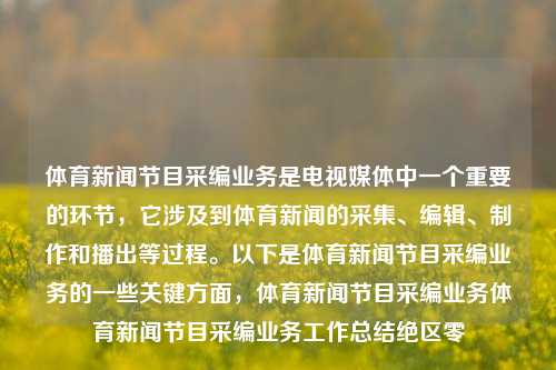 体育新闻节目采编业务是电视媒体中一个重要的环节，它涉及到体育新闻的采集、编辑、制作和播出等过程。以下是体育新闻节目采编业务的一些关键方面，体育新闻节目采编业务体育新闻节目采编业务工作总结绝区零-第1张图片-体育新闻