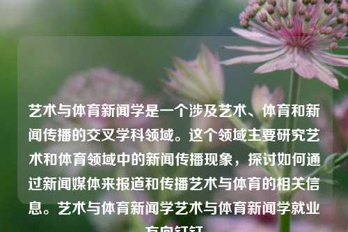 艺术与体育新闻学是一个涉及艺术、体育和新闻传播的交叉学科领域。这个领域主要研究艺术和体育领域中的新闻传播现象，探讨如何通过新闻媒体来报道和传播艺术与体育的相关信息。艺术与体育新闻学艺术与体育新闻学就业方向钉钉-第1张图片-体育新闻