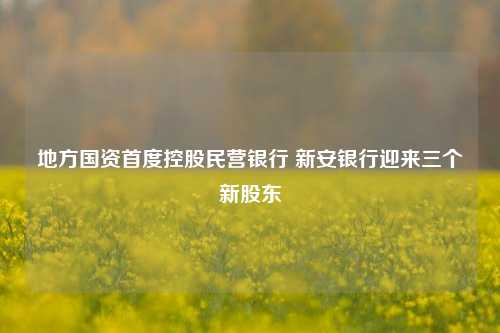 地方国资首度控股民营银行 新安银行迎来三个新股东-第1张图片-体育新闻