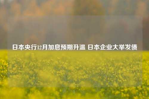 日本央行12月加息预期升温 日本企业大举发债-第1张图片-体育新闻