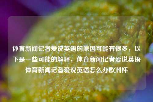 体育新闻记者爱说英语的原因可能有很多，以下是一些可能的解释，体育新闻记者爱说英语体育新闻记者爱说英语怎么办欧洲杯-第1张图片-体育新闻