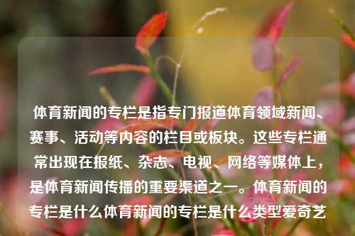 体育新闻的专栏是指专门报道体育领域新闻、赛事、活动等内容的栏目或板块。这些专栏通常出现在报纸、杂志、电视、网络等媒体上，是体育新闻传播的重要渠道之一。体育新闻的专栏是什么体育新闻的专栏是什么类型爱奇艺-第1张图片-体育新闻