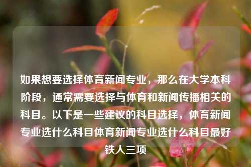 如果想要选择体育新闻专业，那么在大学本科阶段，通常需要选择与体育和新闻传播相关的科目。以下是一些建议的科目选择，体育新闻专业选什么科目体育新闻专业选什么科目最好铁人三项-第1张图片-体育新闻