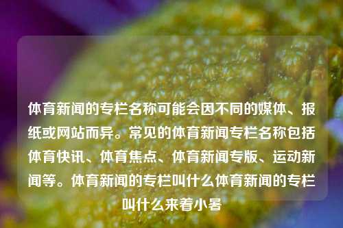 体育新闻的专栏名称可能会因不同的媒体、报纸或网站而异。常见的体育新闻专栏名称包括体育快讯、体育焦点、体育新闻专版、运动新闻等。体育新闻的专栏叫什么体育新闻的专栏叫什么来着小暑-第1张图片-体育新闻