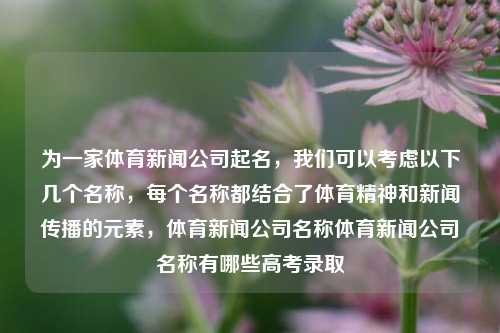 为一家体育新闻公司起名，我们可以考虑以下几个名称，每个名称都结合了体育精神和新闻传播的元素，体育新闻公司名称体育新闻公司名称有哪些高考录取-第1张图片-体育新闻