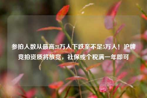 参拍人数从最高28万人下跌至不足5万人！沪牌竞拍资质将放宽，社保或个税满一年即可-第1张图片-体育新闻