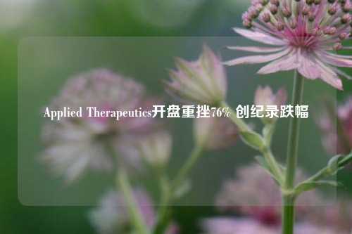 Applied Therapeutics开盘重挫76% 创纪录跌幅-第1张图片-体育新闻