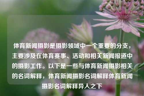 体育新闻摄影是摄影领域中一个重要的分支，主要涉及在体育赛事、活动和相关新闻报道中的摄影工作。以下是一些与体育新闻摄影相关的名词解释，体育新闻摄影名词解释体育新闻摄影名词解释异人之下-第1张图片-体育新闻