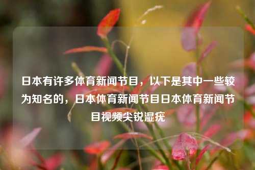 日本有许多体育新闻节目，以下是其中一些较为知名的，日本体育新闻节目日本体育新闻节目视频尖锐湿疣-第1张图片-体育新闻