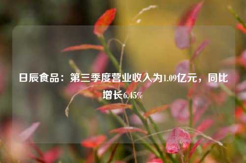 日辰食品：第三季度营业收入为1.09亿元，同比增长6.45%-第1张图片-体育新闻