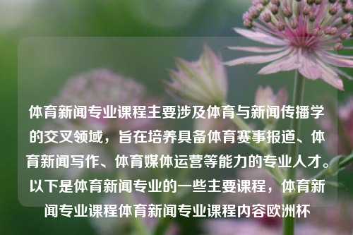 体育新闻专业课程主要涉及体育与新闻传播学的交叉领域，旨在培养具备体育赛事报道、体育新闻写作、体育媒体运营等能力的专业人才。以下是体育新闻专业的一些主要课程，体育新闻专业课程体育新闻专业课程内容欧洲杯-第1张图片-体育新闻