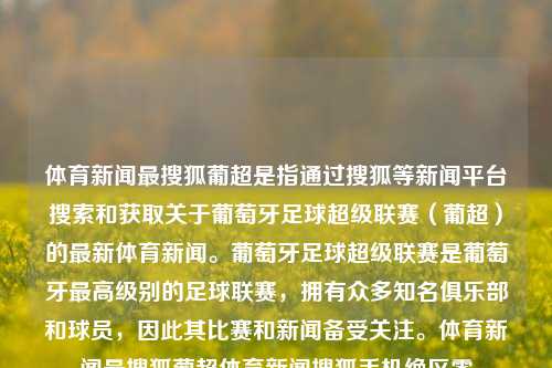 体育新闻最搜狐葡超是指通过搜狐等新闻平台搜索和获取关于葡萄牙足球超级联赛（葡超）的最新体育新闻。葡萄牙足球超级联赛是葡萄牙最高级别的足球联赛，拥有众多知名俱乐部和球员，因此其比赛和新闻备受关注。体育新闻最搜狐葡超体育新闻搜狐手机绝区零-第1张图片-体育新闻